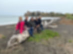 people sat on a fallen tree by the beach