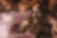 section of the Creation of the Eve painting
