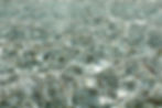coins-in-the-trevi-fountain-rome-italy