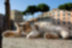 Cat Relaxing in Largo Argentina Rome, Italy