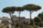 view of the colosseum in rome, italy